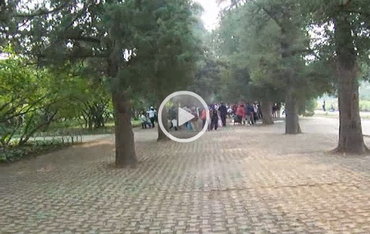 viele Chinesen singen in einem öffentlichen Park